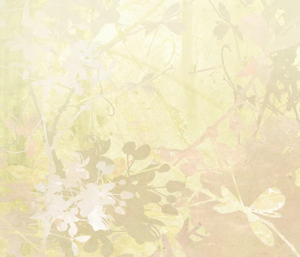 Pastell blomma konst på papper bakgrund — Stockfoto