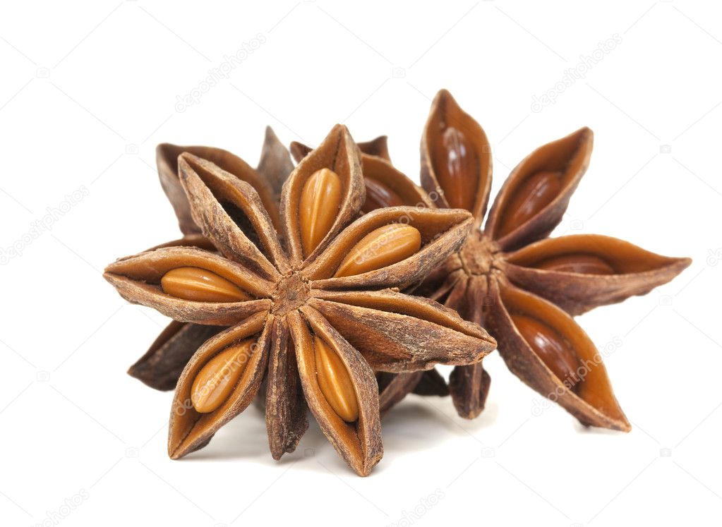 Star Anise Spice Group on white