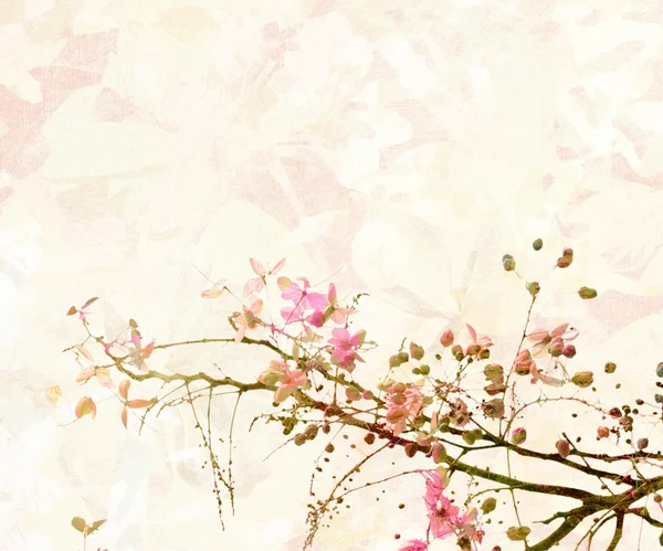 Rózsaszín virág digitális festészet háttér — Stock Fotó