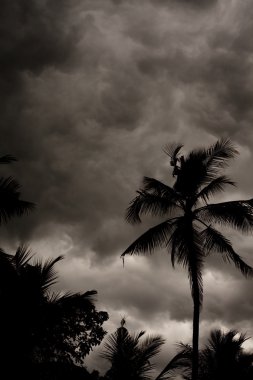 tropikal muson fırtınalı gökyüzü