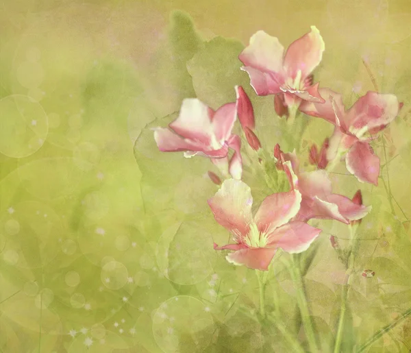Blomma trädgård digital målning bakgrund — Stockfoto