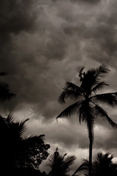 Tropical Monsoon Stormy Sky