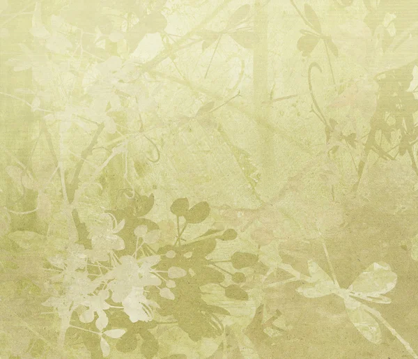 Blomma kantlinjer på papper bakgrund — Stockfoto