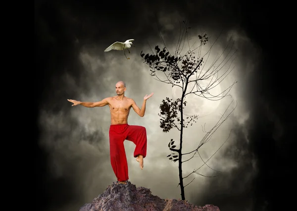 Artes marciais Kung Fu fundo — Fotografia de Stock
