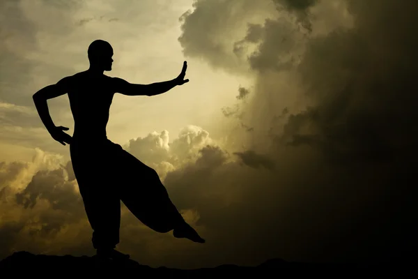 Martial arts meditatie achtergrond — Stockfoto