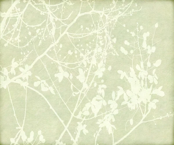 Impresión de flores y ramas enredadas en papel — Foto de Stock