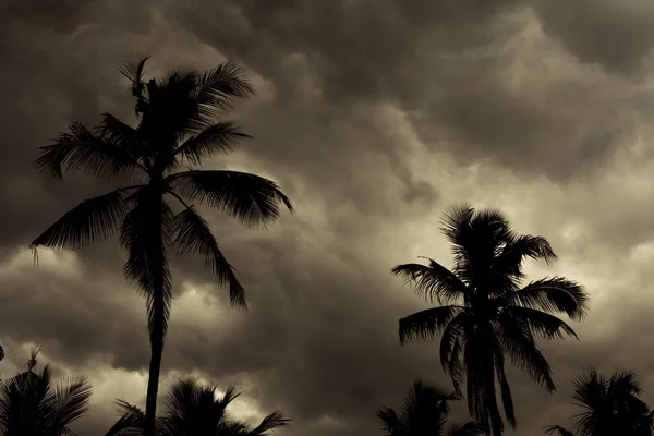 Tropical Monsoon Skyline — Stock Photo, Image