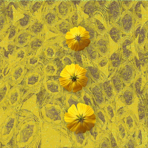 Żółty kwiat nieczysty tło — Zdjęcie stockowe