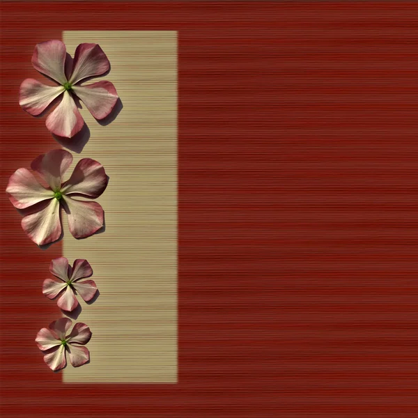 Fundo vermelho e bambu com flores — Fotografia de Stock