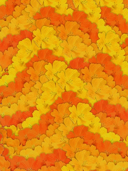 Gestreifte orange und gelbe Blüten — Stockfoto