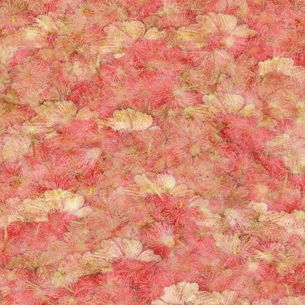Strawberries and Cream Fluffy Pink Background — Stock Photo, Image