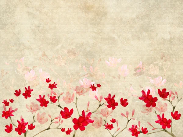 Rött och rosa blomma ut på räfflad pergament — Stockfoto