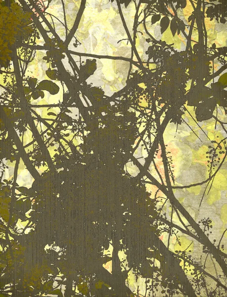 Abstrato Blossom Branch print — Fotografia de Stock