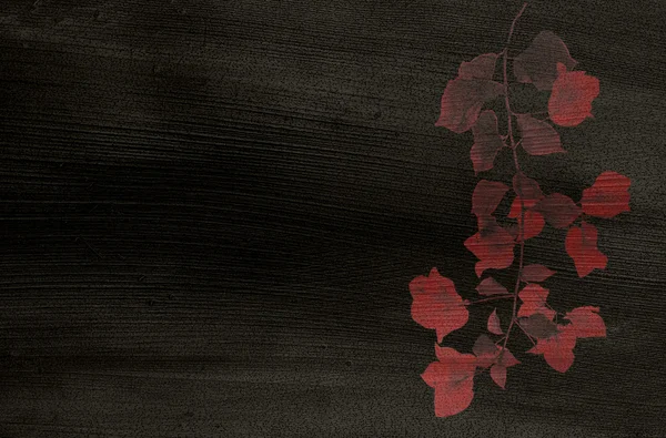 Röd blomma skriva ut på svart kokos — Stockfoto