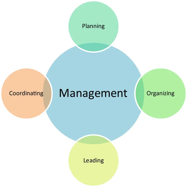 Management business diagram — Stockfoto