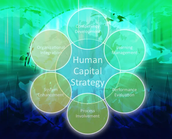 Menselijk kapitaal zakelijke diagram — Stockfoto