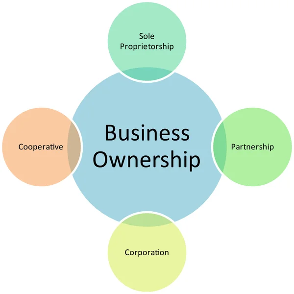 Διάγραμμα διαχείρισης ιδιοκτησίας επιχειρήσεων — Φωτογραφία Αρχείου