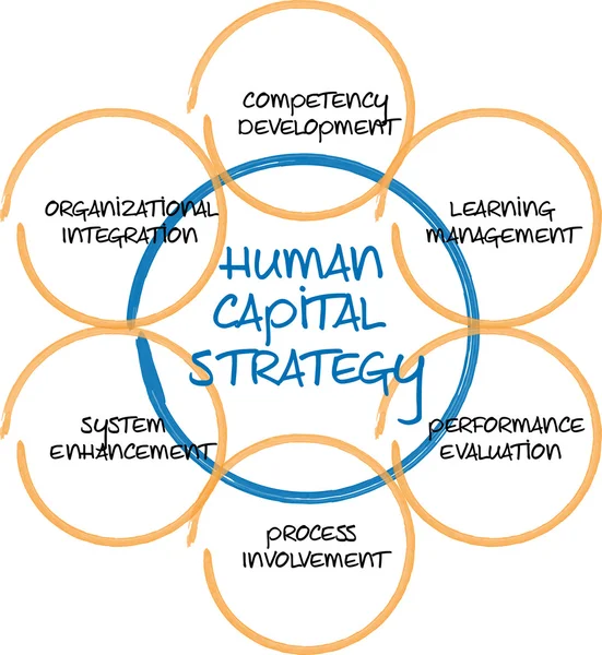 Diagrama de negocio de capital humano — Foto de Stock