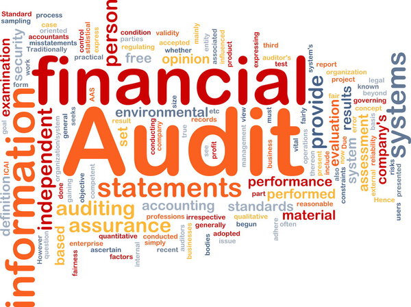 Financial audit is bone background concept