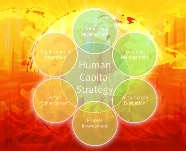 Lidského kapitálu obchodní diagram — Stock fotografie