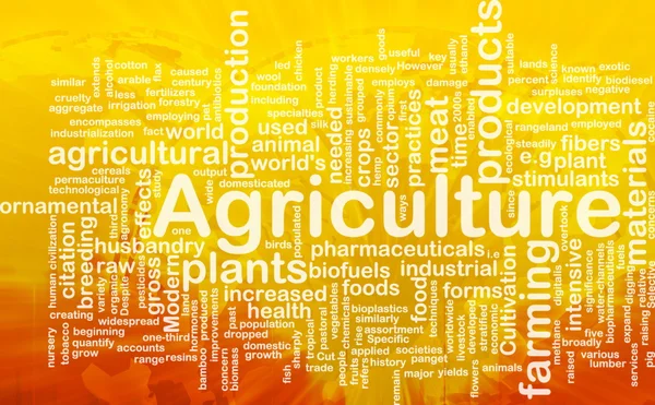 Agriculture word cloud — Stock Photo, Image