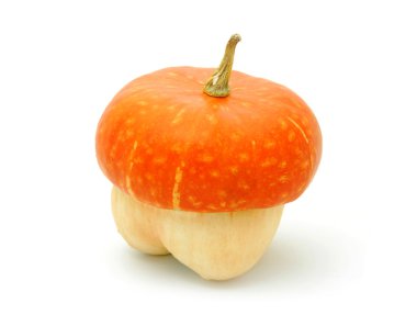 Acorn like pumpkin clipart