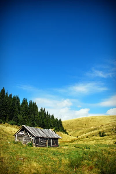 stock image Alpine cottage