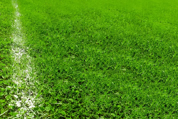 Белая линия на футбольном поле — стоковое фото
