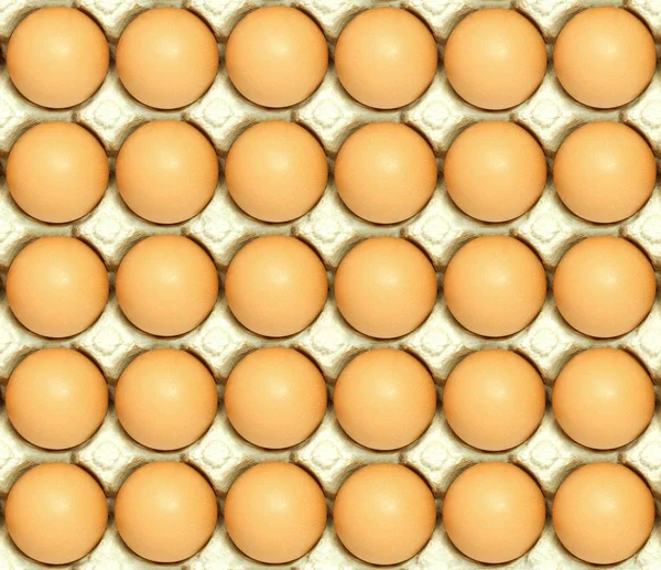 Eieren set — Stockfoto
