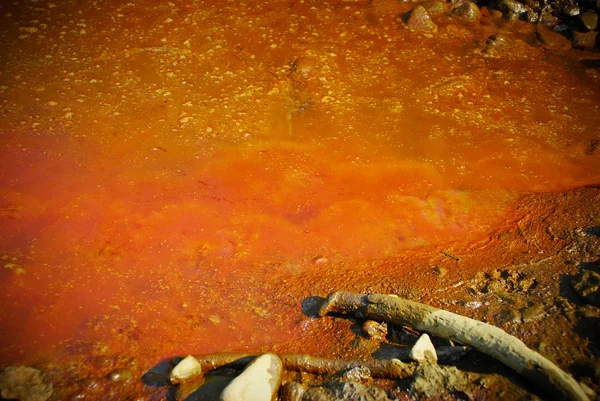 Polluted water — Stock Photo, Image