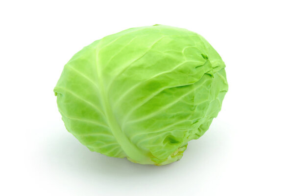 Cabbage