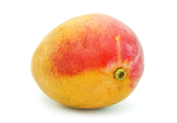 Mango isolerad — Stockfoto