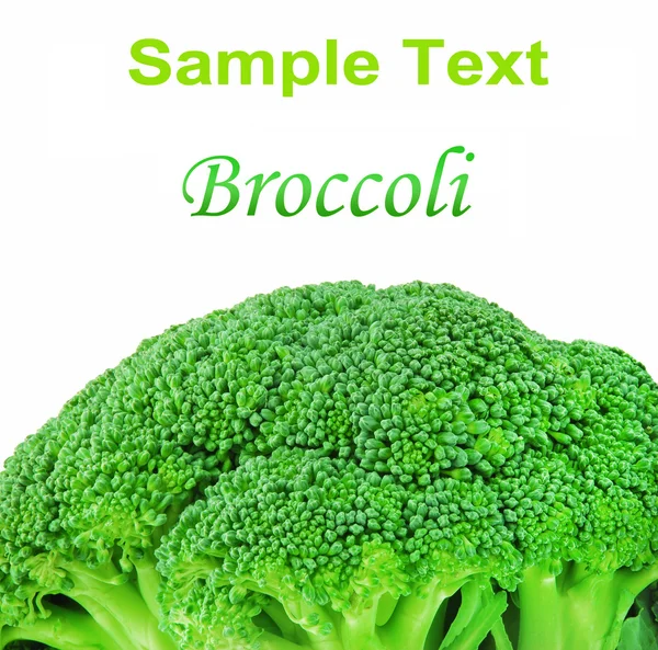 stock image Broccoli