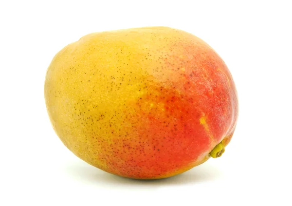 Mango isolerad — Stockfoto