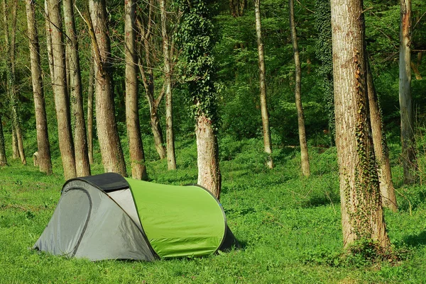 Camping tält — Stockfoto