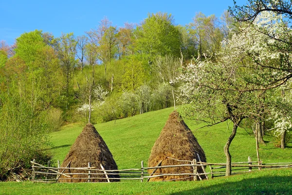 stock image Countryside