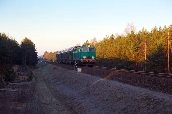 Személyszállító vonat halad át az erdő Jogdíjmentes Stock Képek