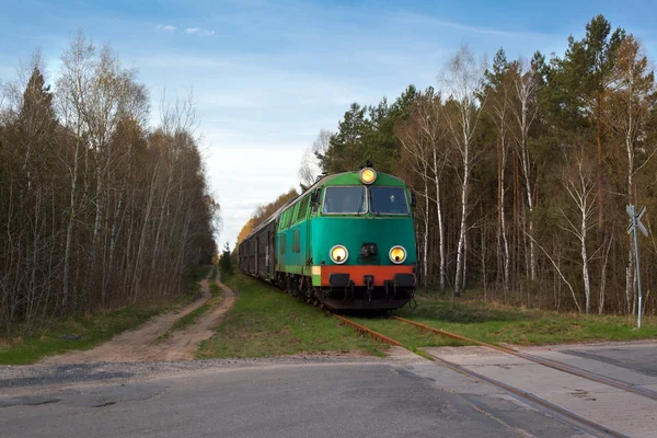Comboio de passageiros que passa pela floresta — Fotografia de Stock