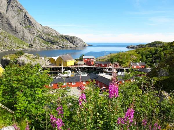노르웨이 풍경 — 스톡 사진