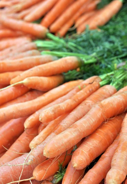 Frash Carrots — Stock Photo, Image