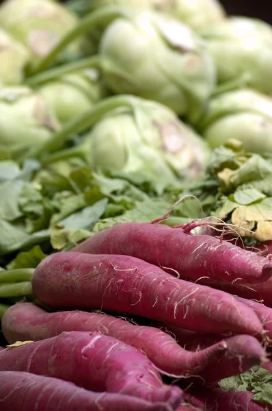 新鲜的萝卜和大头菜白菜 — 图库照片
