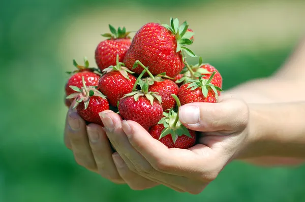 Fresh picked strawberries — Stock Photo, Image
