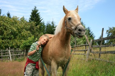 Boy, horse and dogs clipart