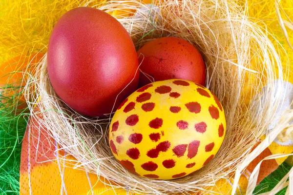 Barevná velikonoční vajíčka — Stock fotografie