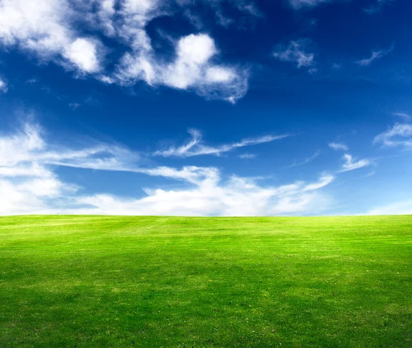 Bulutlu gökyüzü ve çimenlerin arkaplanı — Stok fotoğraf