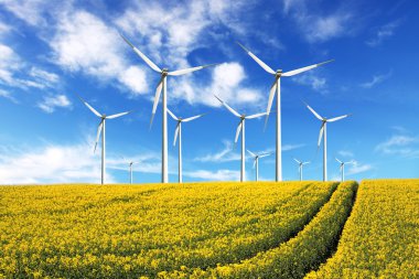 Windmill farm on the rapeseed field clipart