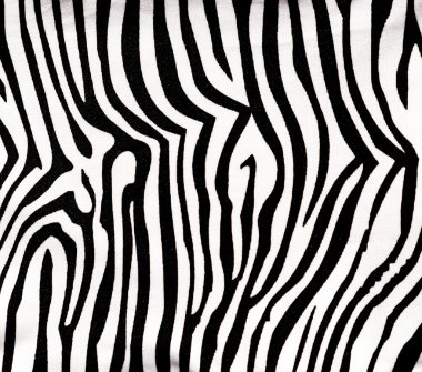 Zebra print useful as a background or pattern clipart