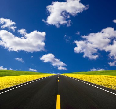 Road travelling through a Canola Field clipart