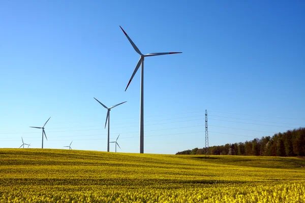Windpark mit Rapsfeld — Stockfoto