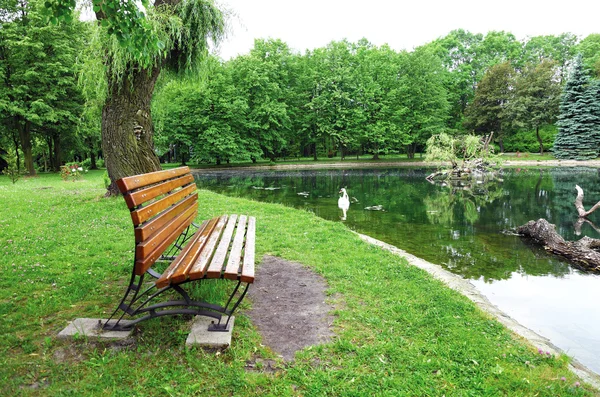 Park with bench and water — Stock Photo, Image